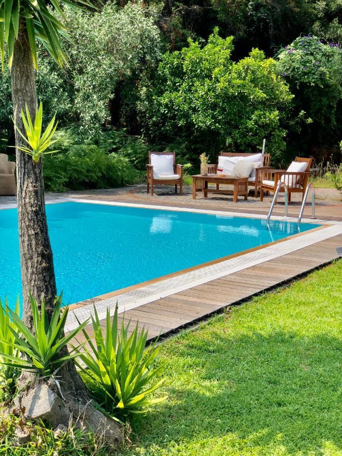 Gialos Villas 1-2 With A Private Pool Mikros Gialos Extérieur photo